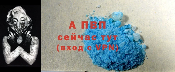 не бодяженный Новозыбков