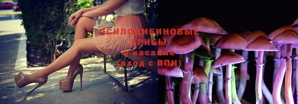 альфа пвп Новокубанск