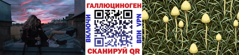 Галлюциногенные грибы Cubensis Калач-на-Дону