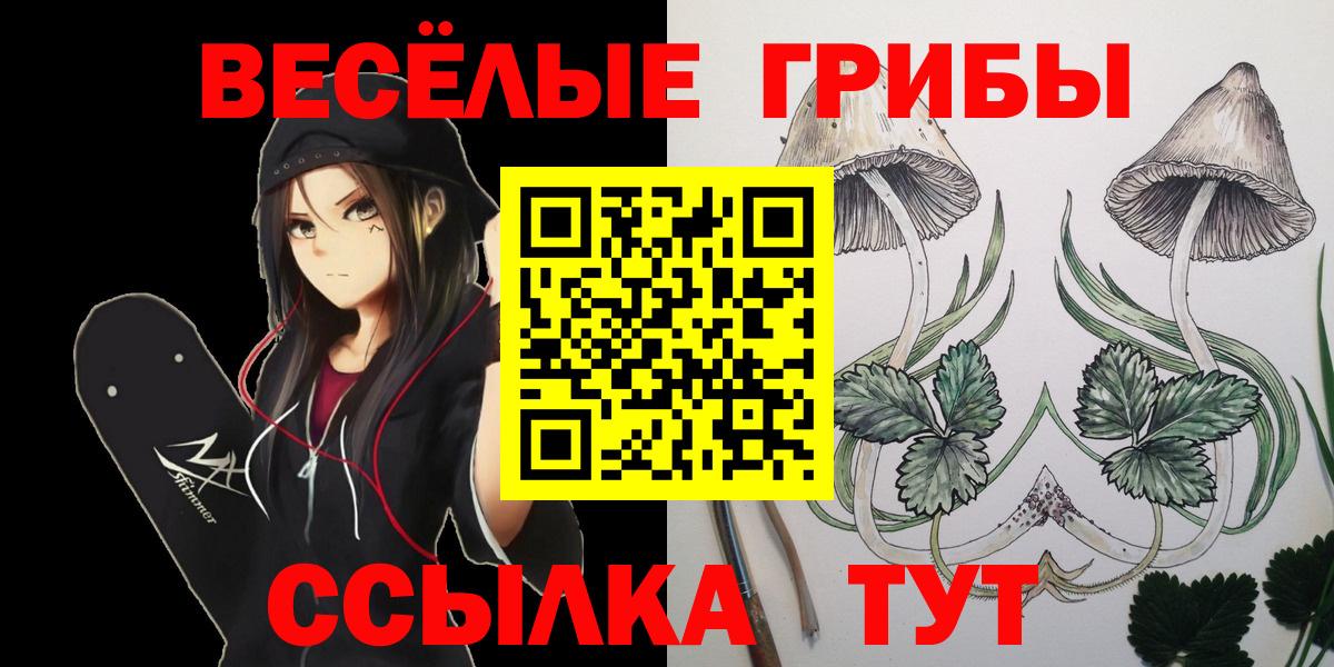 как найти   Псилоцибиновые грибы Psilocybine cubensis  Вход с VPN  Калач-на-Дону  Псилоцибиновые грибы MAGIC MUSHROOMS 