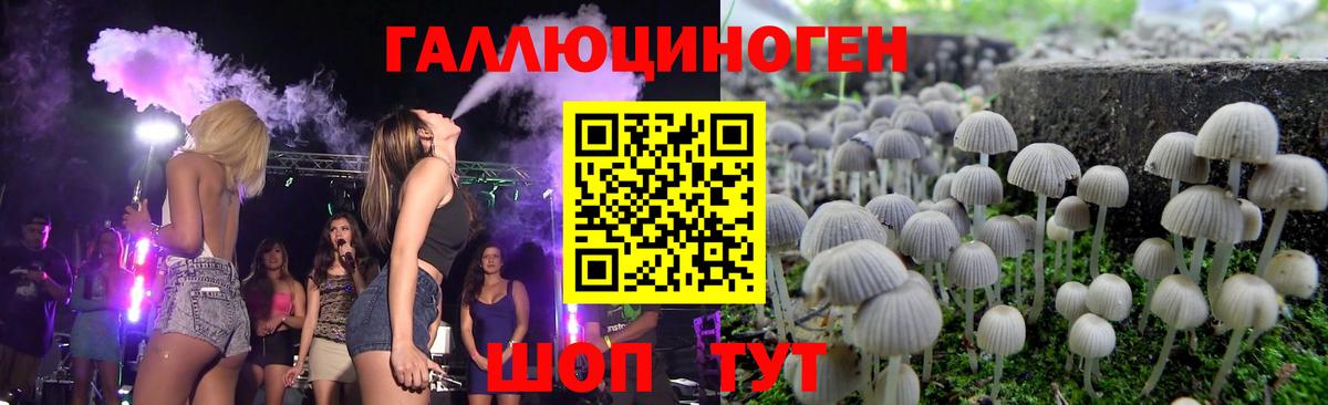 Галлюциногенные грибы Cubensis Калач-на-Дону